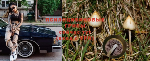 альфа пвп Нефтегорск