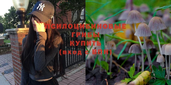 таблы Нея